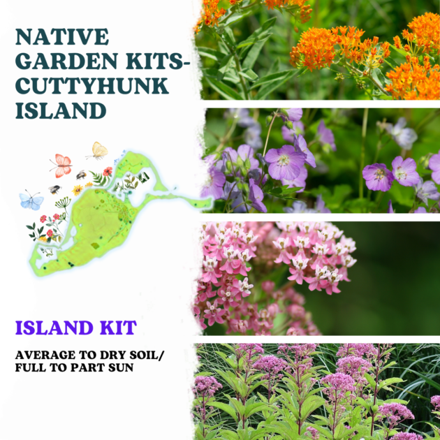 cuttyhunk island kit