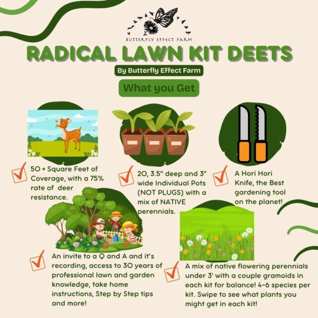 Radical Lawn Kits - Westport - Image 3