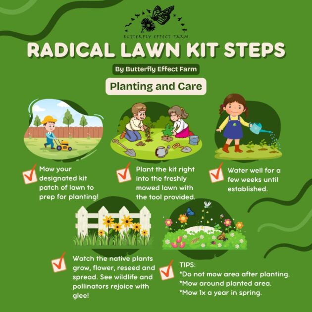 Radical Lawn Kits - Westport - Image 2