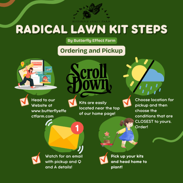 Radical Lawn Kits - Westport - Image 5