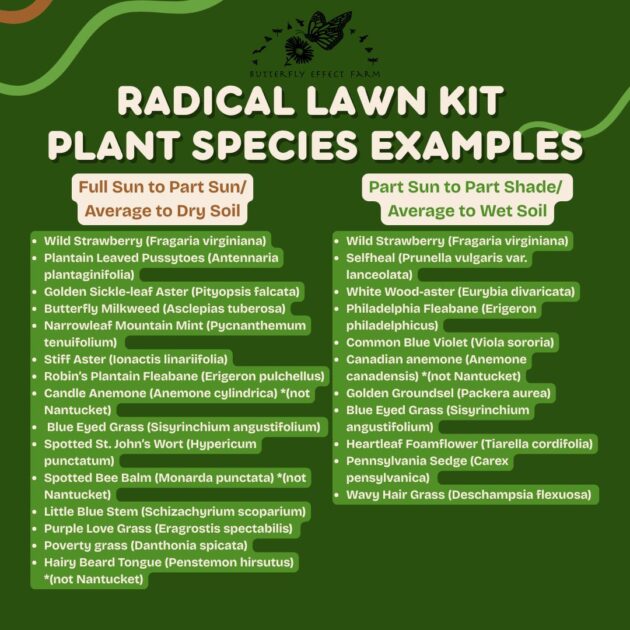 Radical Lawn Kits - Westport - Image 4
