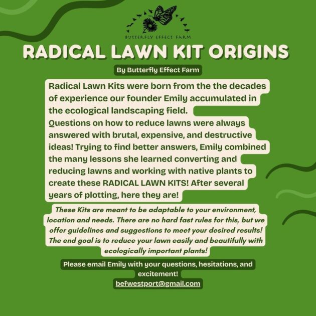 Radical Lawn Kits - Westport - Image 6