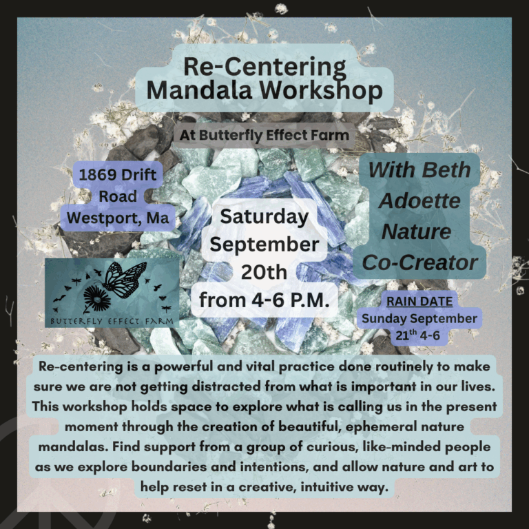Nature Mandala Workshop Information
