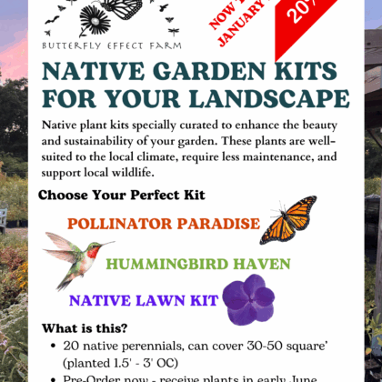 2026 WESTPORT Pre - Order Native Plant Kits