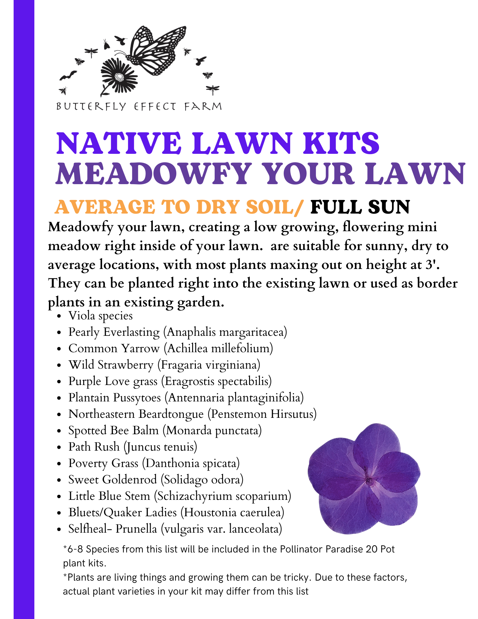 2026 WESTPORT Pre - Order Native Plant Kits - Image 4