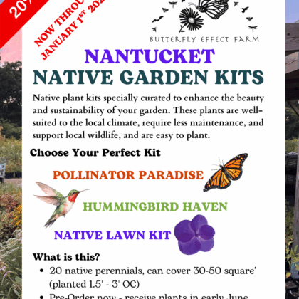2026 NANTUCKET Pre-Order Native Plant Kits