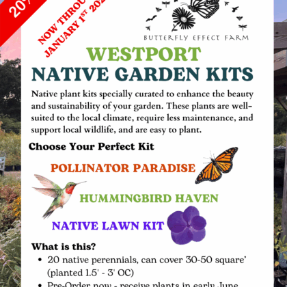 2026 WESTPORT Pre-Order Native Plant Kits