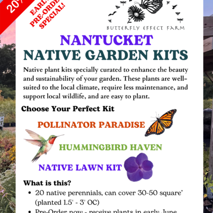 2026 NANTUCKET Pre-Order Native Plant Kits