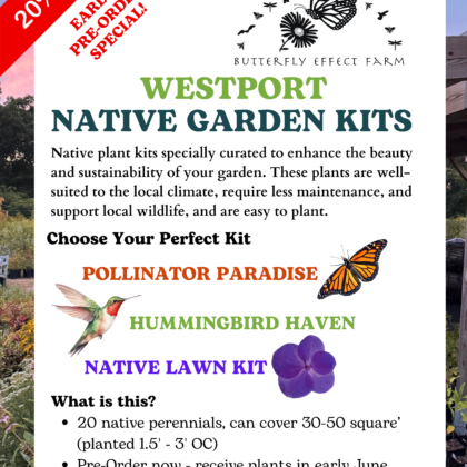 2026 WESTPORT Pre-Order Native Plant Kits