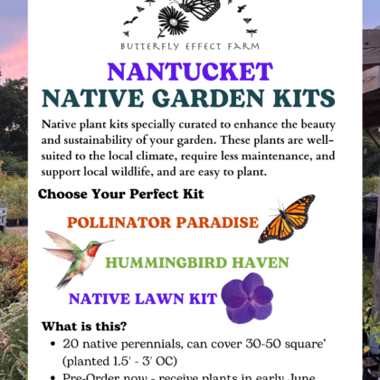 2026 NANTUCKET Pre-Order Native Plant Kits