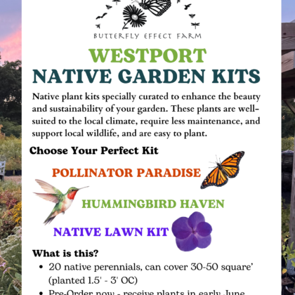 2026 WESTPORT Pre-Order Native Plant Kits