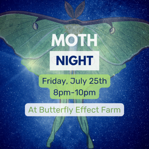 Moth Night at Butterfly Effect Farm. Friday July 25th 8pm-10pm