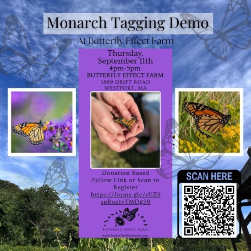 insta post Monarch Tagging Event (Instagram Post)